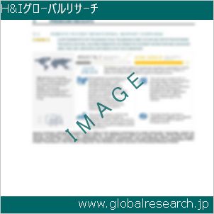 グローバルリサーチ調査レポートのイメージ